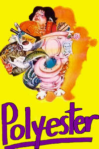 Polyester - Poster
