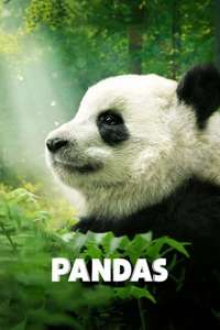 Pandas - Poster
