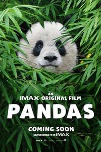 Pandas - Poster