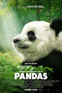 Pandas - Poster