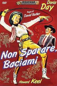 Calamity Jane - Poster