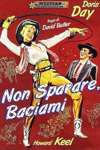 Calamity Jane - Poster