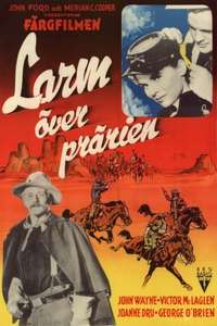 She Wore a Yellow Ribbon - Poster