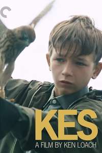 Kes - Poster