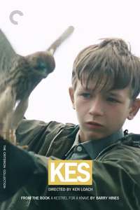 Kes - Poster