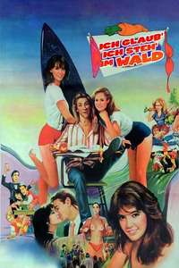 Fast Times at Ridgemont High - Poster