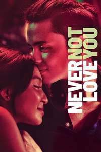 Never Not Love You - Poster