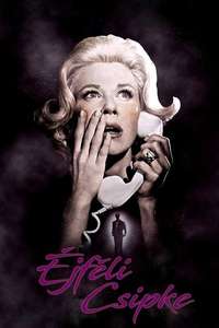 Midnight Lace - Poster