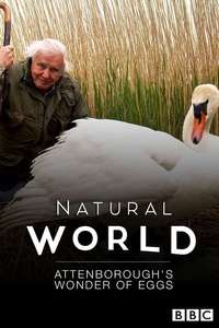 Attenborough's Wonder of Eggs - Poster