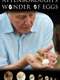 Attenborough's Wonder of Eggs