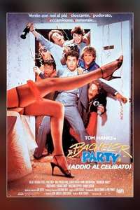 Bachelor Party - Poster