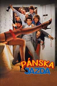 Bachelor Party - Poster