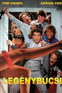 Bachelor Party - Poster