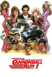 Cannonball Run II