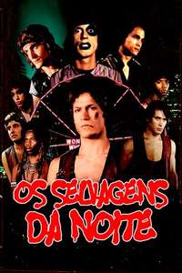 The Warriors - Poster