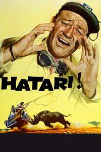 Hatari! - Poster