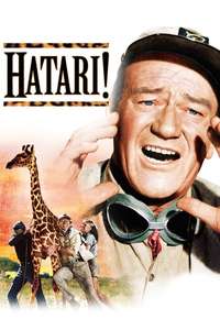 Hatari! - Poster