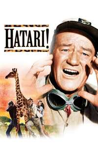Hatari! - Poster