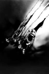 The Howling - Poster