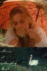 Picnic at Hanging Rock - Poster