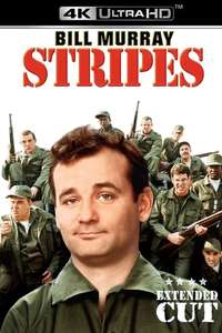Stripes - Poster