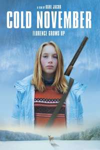 Cold November - Poster
