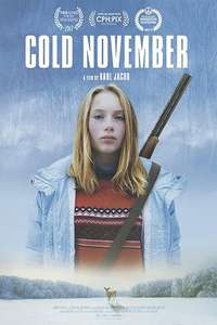 Cold November - Poster