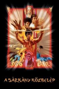 Enter the Dragon - Poster