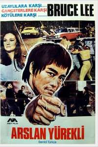 Enter the Dragon - Poster
