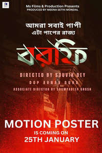 Borfi - Posters
