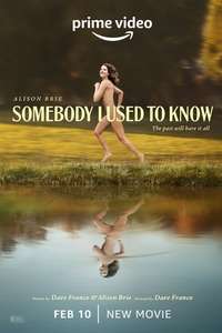 Somebody I Used to Know - Poster