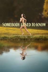 Somebody I Used to Know - Poster