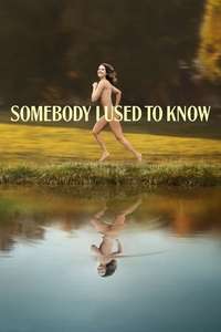 Somebody I Used to Know - Poster