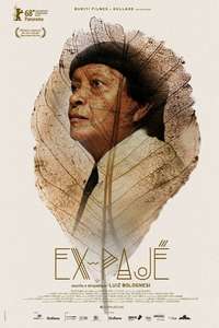 Ex-Shaman - Posters