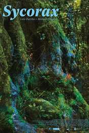Sycorax