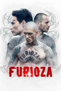 Furioza - Posters