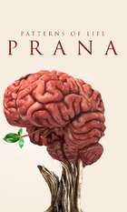 Patterns of life: Prana