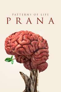 Patterns of life: Prana - Poster