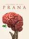 Patterns of life: Prana