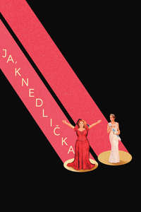 Dumplin' - Poster