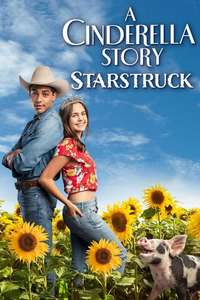 A Cinderella Story: Starstruck - Poster