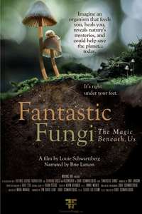 Fantastic Fungi - Poster