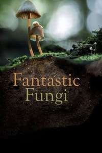 Fantastic Fungi - Poster