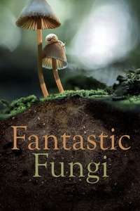 Fantastic Fungi - Poster