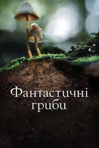 Fantastic Fungi - Poster