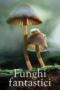 Fantastic Fungi - Poster
