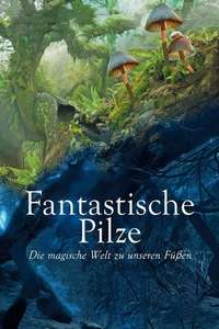 Fantastic Fungi - Poster