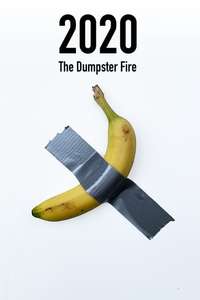 2020: The Dumpster Fire - Poster