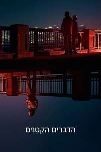 The Little Things - Poster