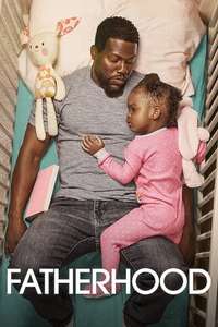 Fatherhood - Poster